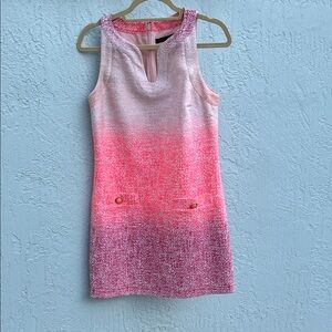 Cynthia Steffe Pink Ombré dress
